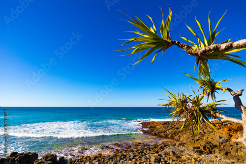 Tropical Beach Paradise