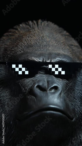 vertical video of gorilla sunglasses dark background