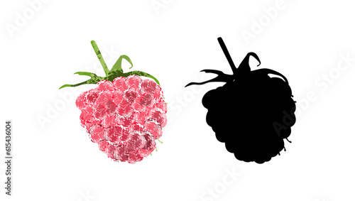 Raspberries silhouette