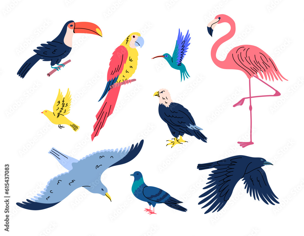 Fototapeta premium Cartoon Color Different Flying Birds Set Concept Flat Design Style Include of Toucan, Parrot and Pigeon. Vector illustration
