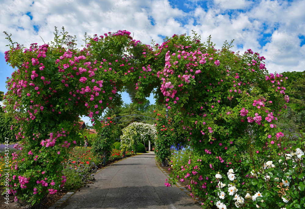 Rosengarten Rosengarten