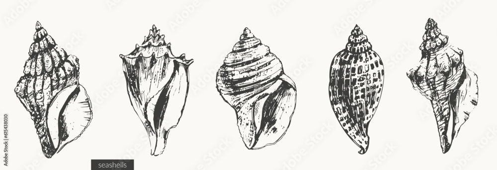 Vector sea creatures illustration set Vector sea creatures illustration set