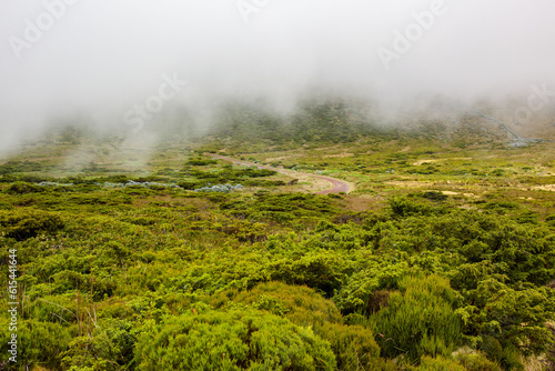 Reserva florestal natural do morro alto e pico da se in Flores island, Azores photo
