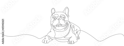 Dog french bulldog line art style vector with transparent background eps 10