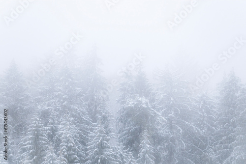 Im tiefsten Winter © Artur