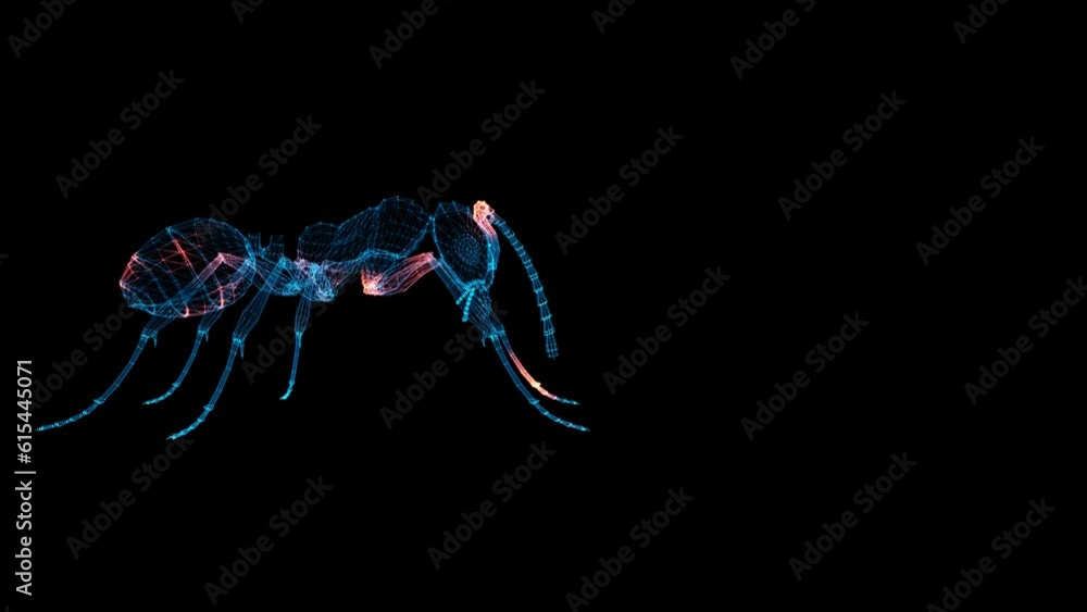 3D Ant Scan. Ant Scanning Interface. HUD Ant analyze. Medical Science Anatomy concept. For title, text, presentation. 3d animation 60 FPS 3D Ant Scan. Ant Scanning Interface. HUD Ant analyze. Medical Science Anatomy concept. For title, text, presentation. 3d animation 60 FPS