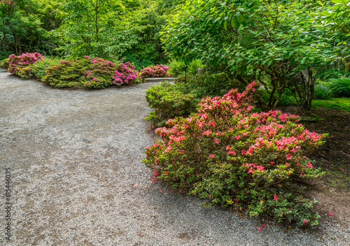 Path And Red Flowers 4