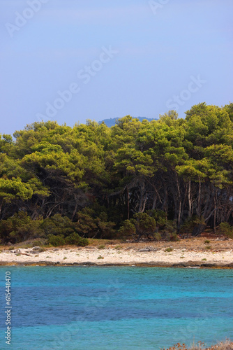 Beautiful wild beach on Proizd, tiny island in southern Croatia. © jelena990