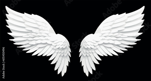 Angel wings multicolor vector illustration isolated