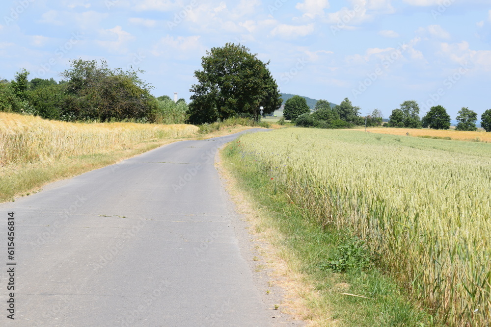 Country road between green and ripe grain