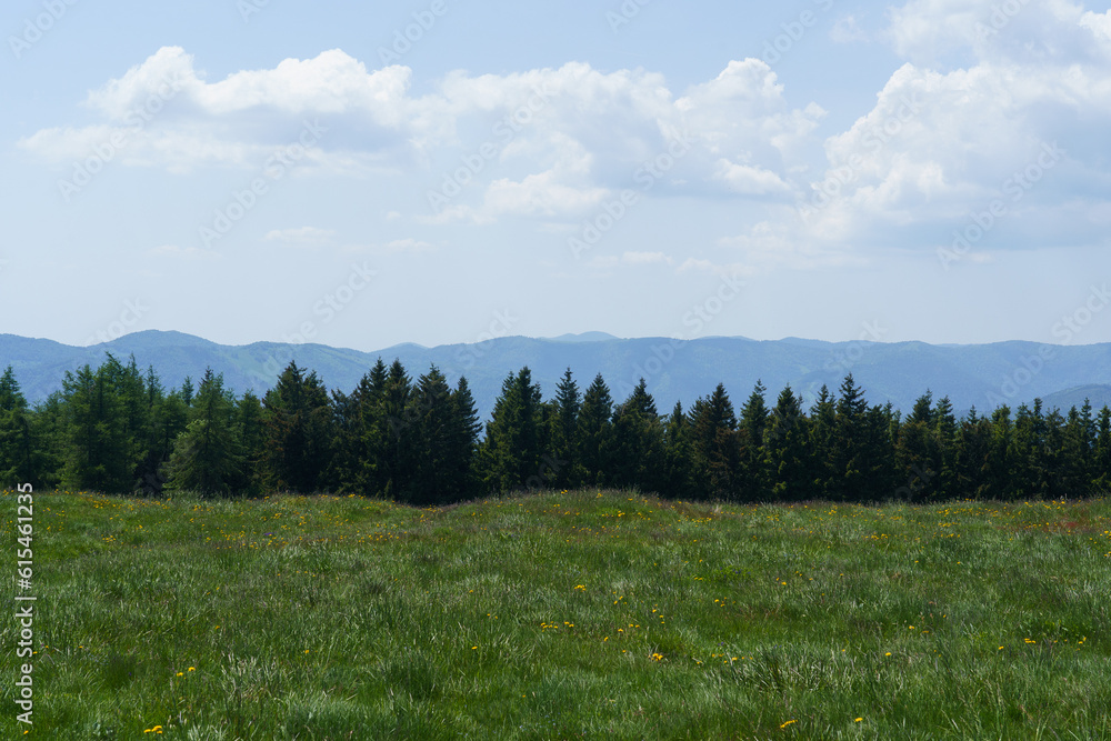 Vosges Vosges