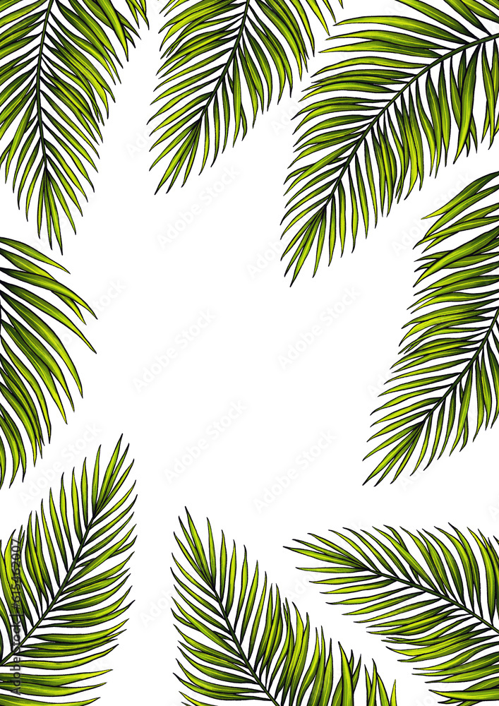 Rectangular A4 template for text with tropical palm leaves. Frame or border with jungle rainforest exotic plants. Isolated on white realistic hand drawn illustration for label design.