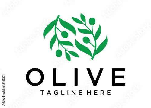 Illustration Olive branch logo design