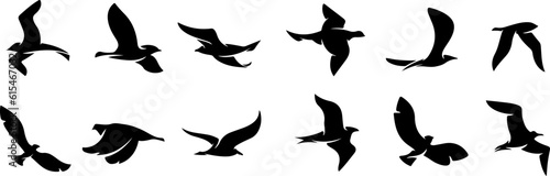 set of silhouettes of birds