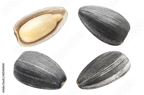 Set of black sunflower seeds, cut out