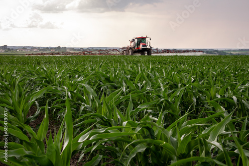 Red sprayer spraying corn field