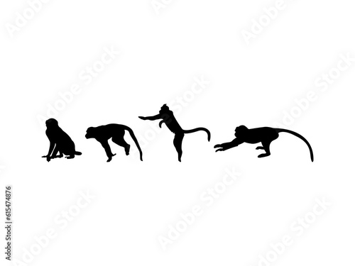 Photography The set of monkey silhouettes - animals silhouette.