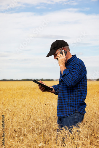 Farmer using a tablet to manage his harvest and talking on his cell phone while standing in a fully ripened grain field; Alcomdale, Alberta, Canada photo