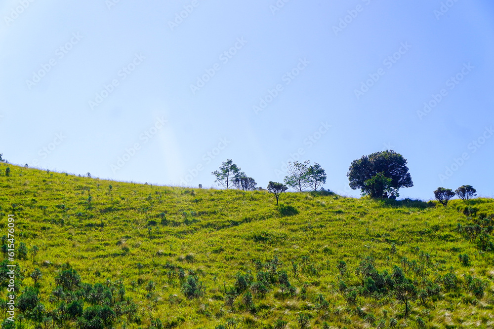 beautiful landscape on mountain top with green forest and blue sky