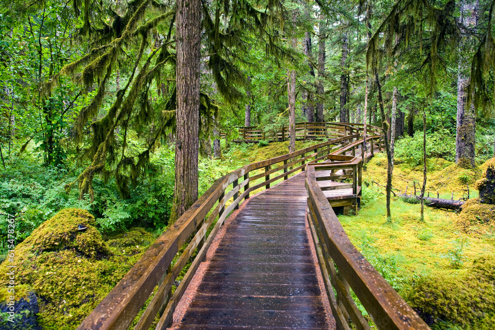 Nature Trail at Bartlett Cove in Glacier Bay National Park and Preserve, Alaska, USA; Alaska, United States of America Nature Trail at Bartlett Cove in Glacier Bay National Park and Preserve, Alaska, USA; Alaska, United States of America