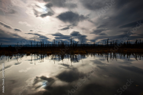 Reflection of sky and tundra in slough along the Steese Highway, Steese National Conservation Area, Alaska, USA; Alaska, United States of America photo