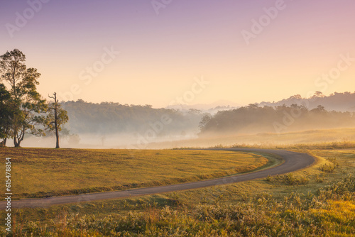 Wallpaper Mural Colorful in the morning at Phu Khieo wildlife  Sanctuary, Chaiyaphom Province, Thailand. Torontodigital.ca