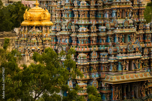 Statues at the Meenakshi Temple; Madurai, Tamil Nadu, India photo