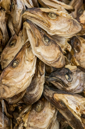 Drying cod at the fishing village of Lovund; Lovund Island, Norway