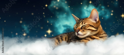 Banner bengal kitten sleeping on puffy cloud, starry night sky with milky wat on background. AI generative