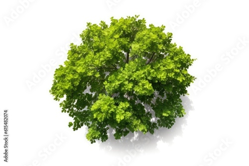 top view of a Lone Green Tree Standing Tall Against White Background generative AI
