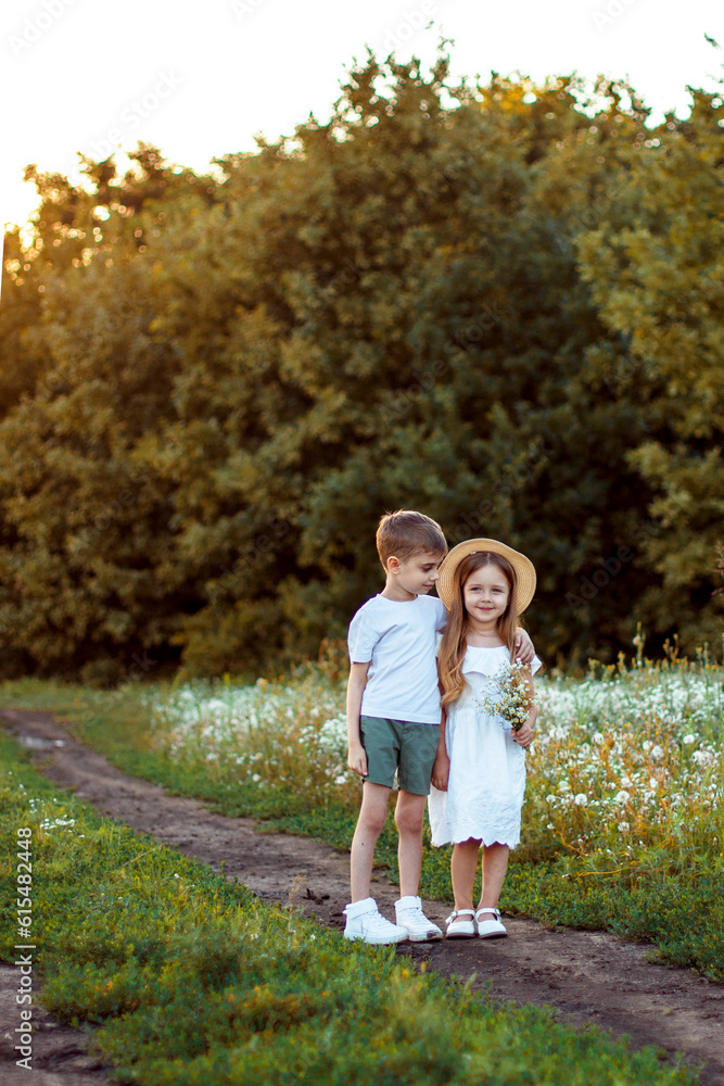 Fototapeta premium boy and girl 5 years old in a field with daisies