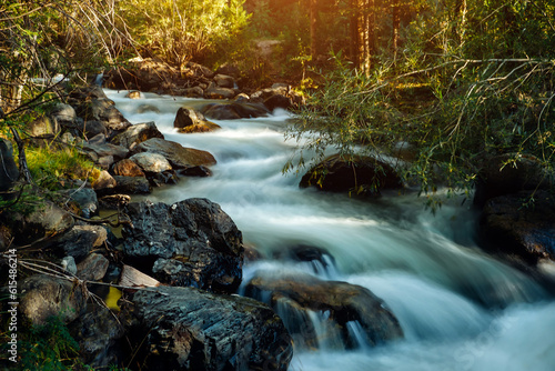 Forest river landscape in Altai mountains  Siberia. Long exposure on a rapid stream flowing through rocks trees.