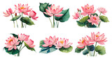 Watercolor lotus flower isolated on transparent background. Generative Ai