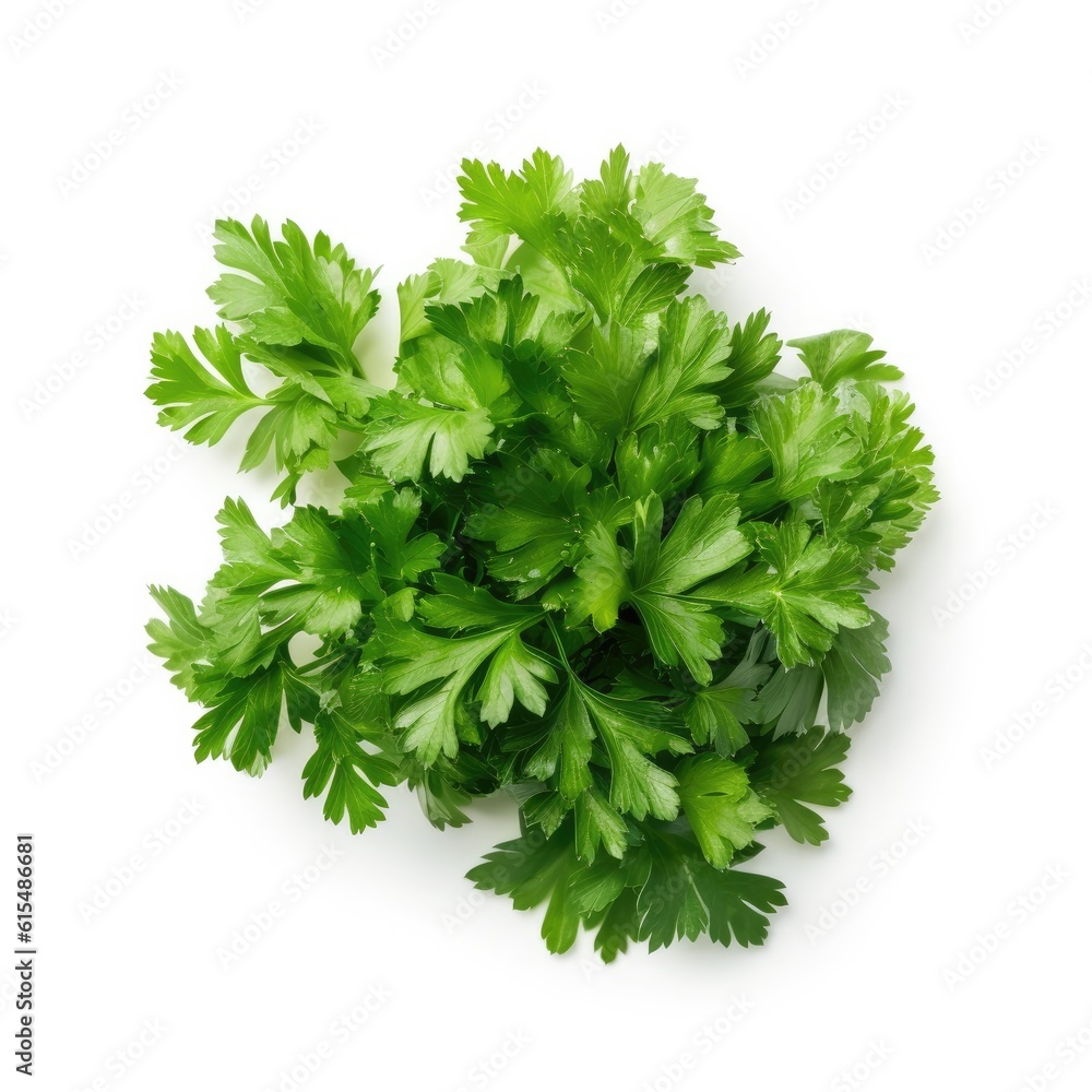 Parsley isolated on white background. Generative AI Parsley isolated on white background. Generative AI