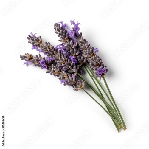 Lavender isolated on white background. Generative AI