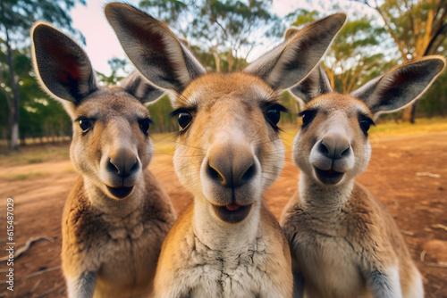 group of funny Kangaroo making selfie standing upright and looking attentively at the camera ai generated art