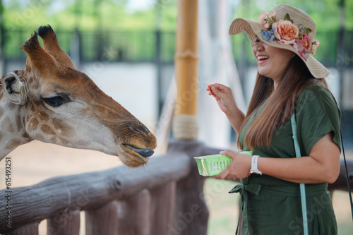 Asian woman tourist feeding a giraffe at the zoo during holiday.