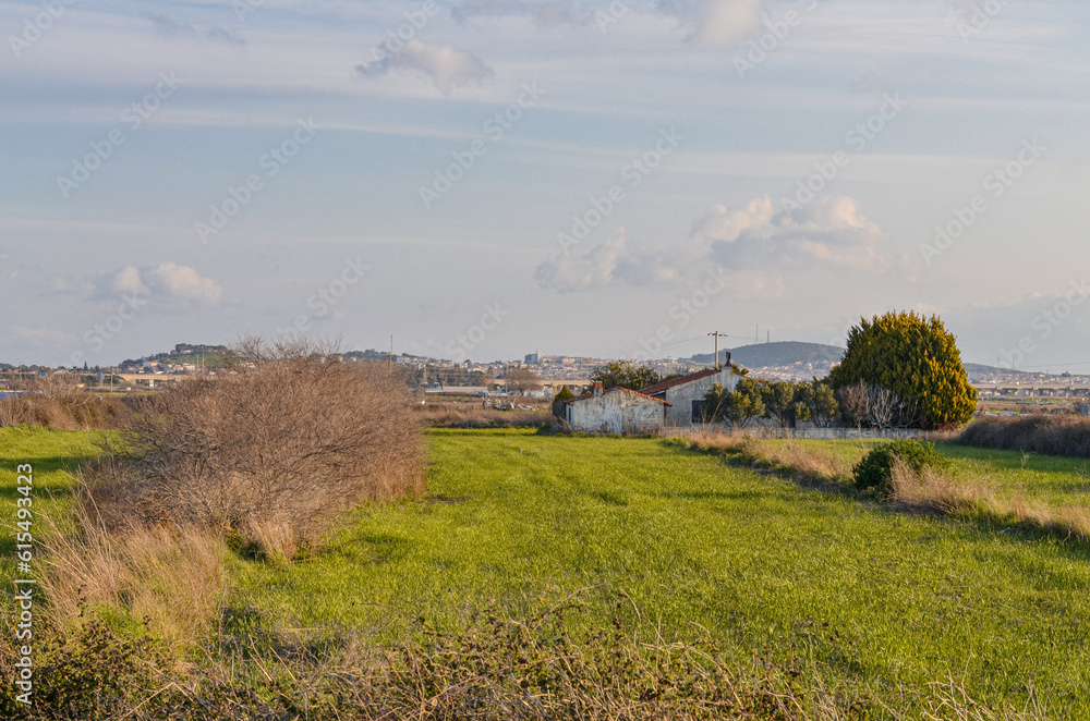 fresh green grass on farmlands in countryside (Alacati, Izmir province, Turkiye) fresh green grass on farmlands in countryside (Alacati, Izmir province, Turkiye)