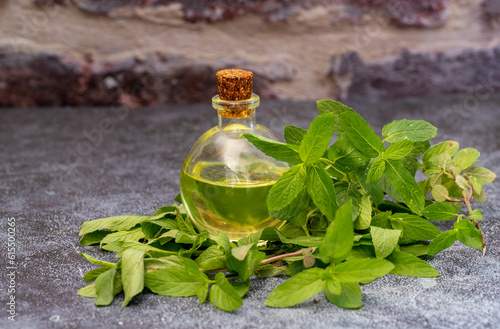 Peppermint essential oil in glass bottle with fresh green mint leaves on rustic background