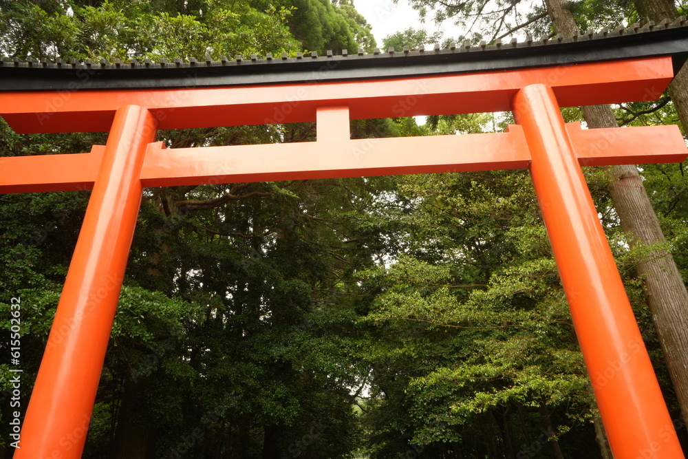 Torii Gate of Kirishima-jingu Shrine in Kagoshima, Japan - 日本 鹿児島 霧島神宮 鳥居 Torii Gate of Kirishima-jingu Shrine in Kagoshima, Japan - 日本 鹿児島 霧島神宮 鳥居