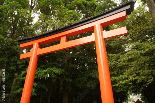 Torii Gate of Kirishima-jingu Shrine in Kagoshima  Japan -                                     