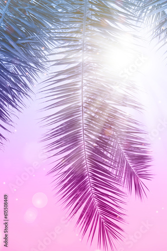 Coconut palms leaf over purple sky at sunset. Picturesque palm tree leaf wallpaper.