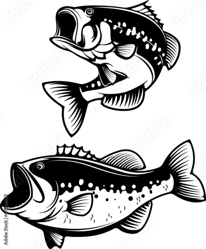 Sea bass fish silhouettes isolated on white background. Design elements for logo, label, emblem for fishing club. Vector illustration.