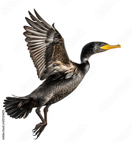 Flying cormorant isolated on the transparent background PNG. AI generative. 