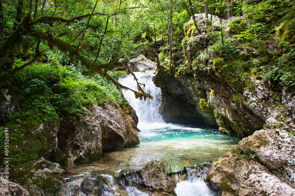 Fototapeta premium Hiking in the Sunik Water Grove in Slovenia
