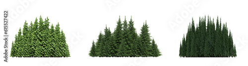 group of trees isolated on a white background  big trees in the forest  3D illustration  cg render