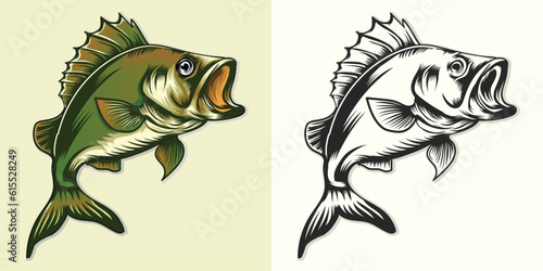 Big bass fish vector design set illustration.