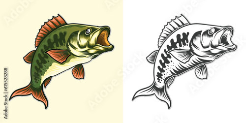 Fish colorful vector illustration set black and whit design, jumping style from water .