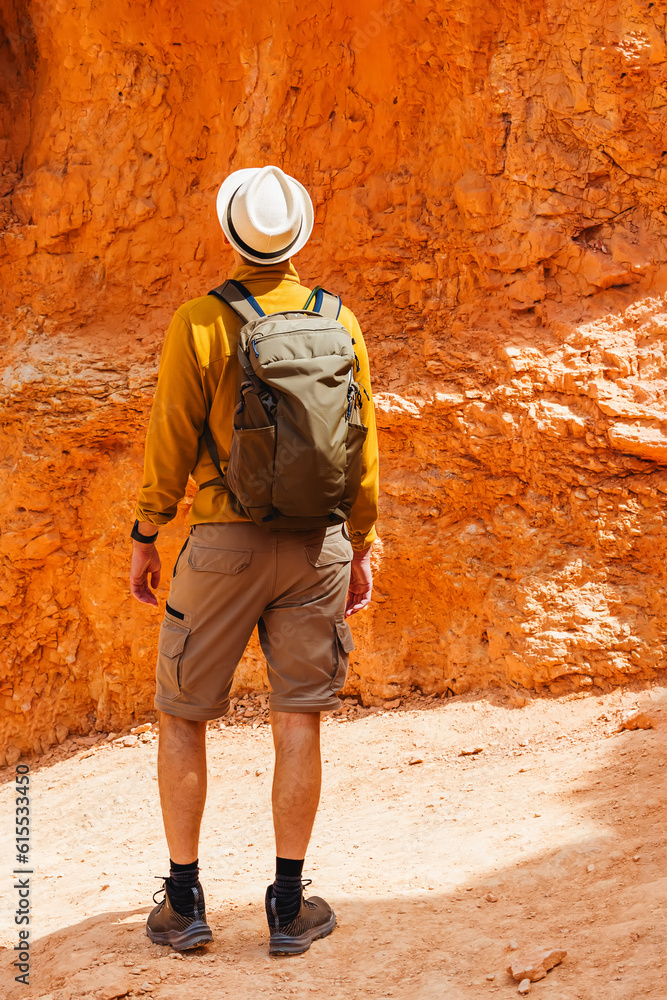 Hiker in Bryce canyon looking on the rock formations, view from the back
