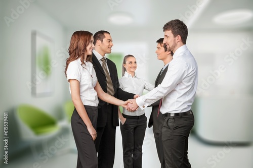 Happy businessmen handshaking in an office, meeting concept © BillionPhotos.com